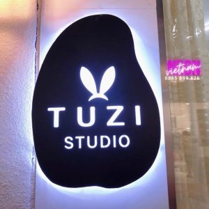 Tuzi Studio Backlit Light Box