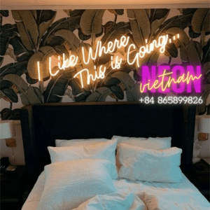 I Like Where This Is Going Led Neon Sign